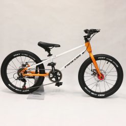 pigeon bike 20 - white-orange